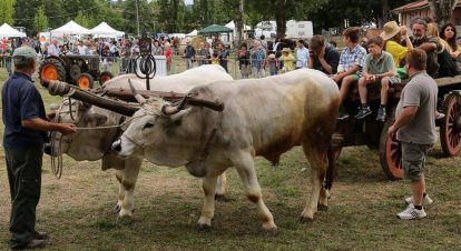 Fiera Agricola del Santerno