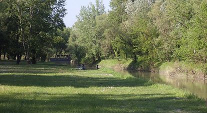 Along the river banks