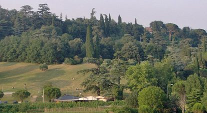 Tozzoni Public Park